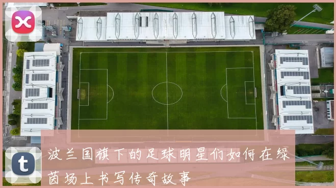 波兰国旗下的足球明星们如何在绿茵场上书写传奇故事