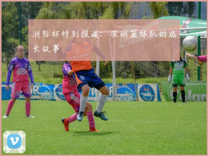 洲际杯特别报道：深圳篮球队的成长故事