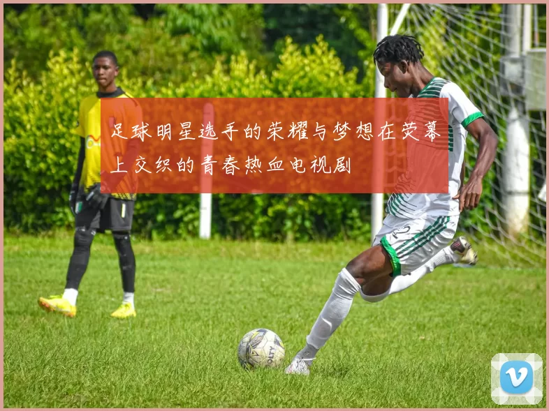 足球明星选手的荣耀与梦想在荧幕上交织的青春热血电视剧