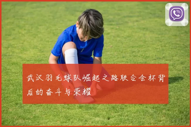 武汉羽毛球队崛起之路联合会杯背后的奋斗与荣耀