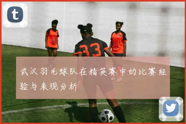 武汉羽毛球队在精英赛中的比赛经验与表现分析