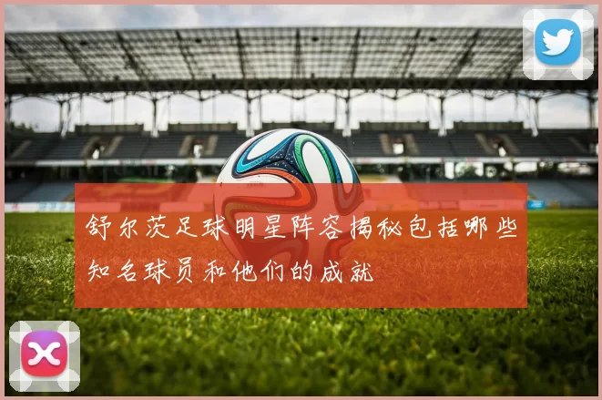 舒尔茨足球明星阵容揭秘包括哪些知名球员和他们的成就
