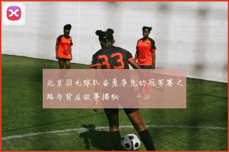 北京羽毛球队奋勇争先的冠军赛之路与背后故事揭秘