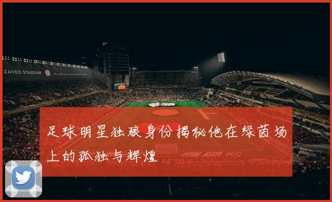 足球明星独狼身份揭秘他在绿茵场上的孤独与辉煌