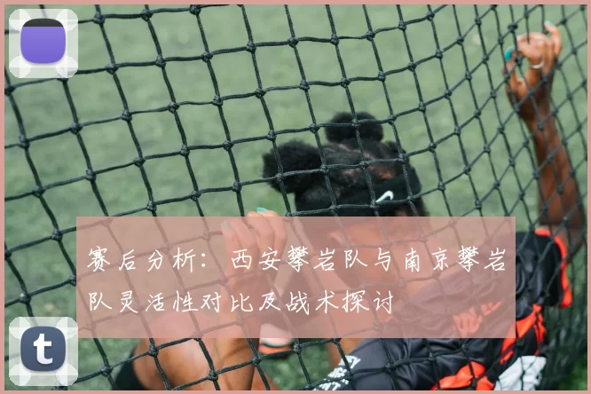 赛后分析：西安攀岩队与南京攀岩队灵活性对比及战术探讨